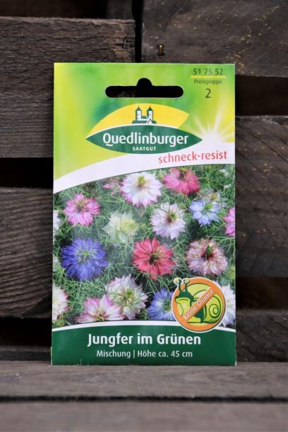 Jungfer im Grünen