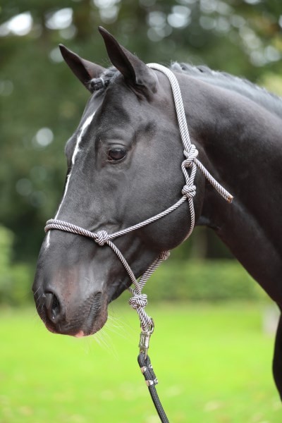 Knotenhalfter navy/beige Full