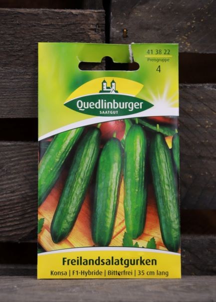 Freiland Salatgurke-Konsa