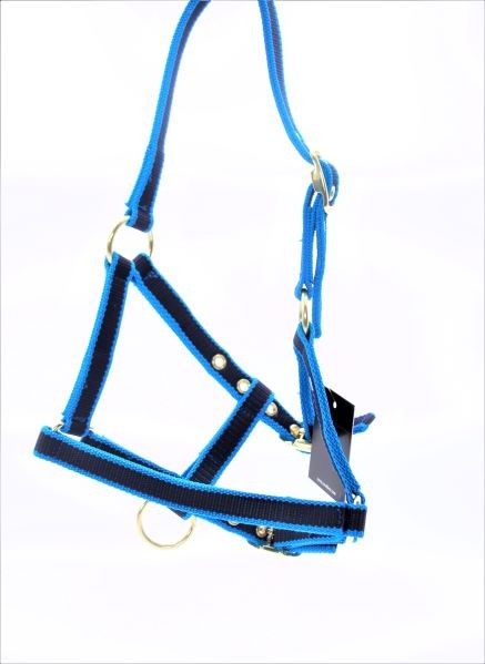 Fohlenhalfter Exklusive blau