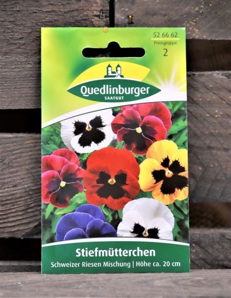 Stiefmütterchen-Schweizer Riesen Misch.