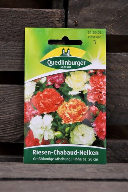 Riesen-Chabaud Nelken