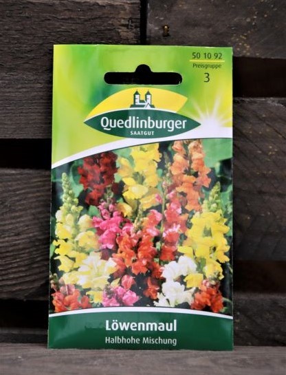 Löwenmaul-halbhohe Mischung