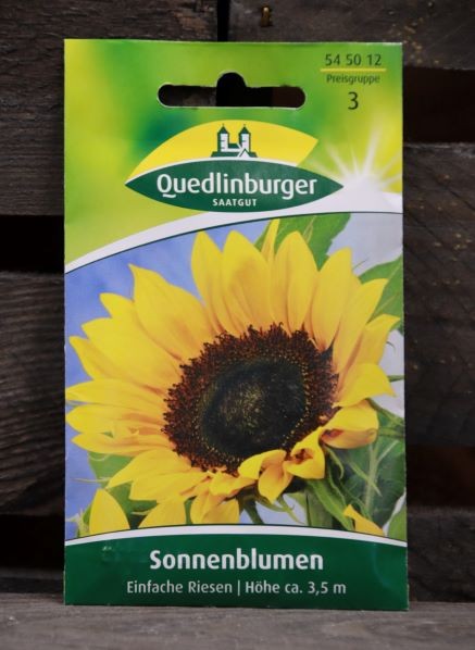Sonnenblumen-einfache Riesen