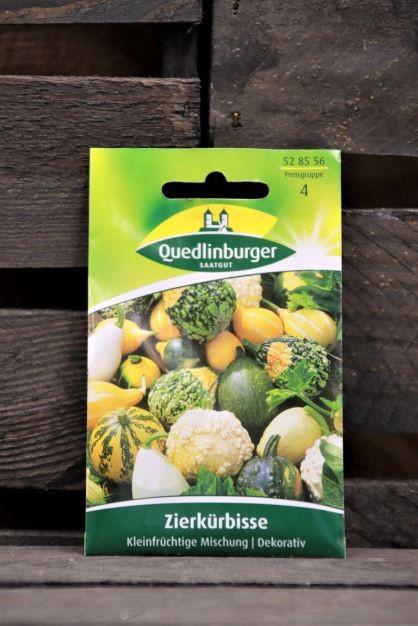 Zierkürbis