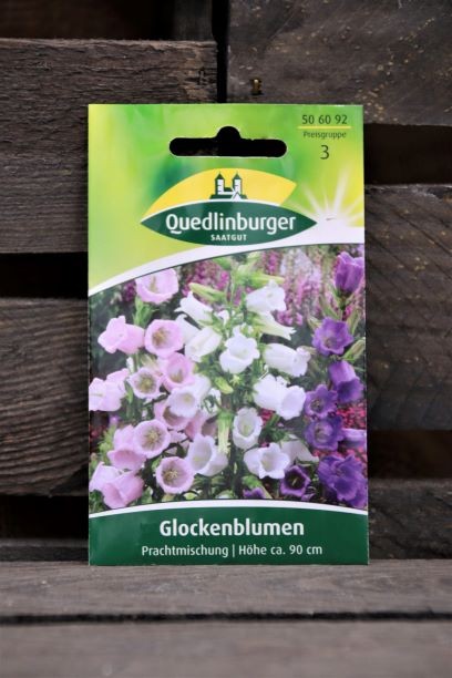 Glockenblumen-Prachtmischung