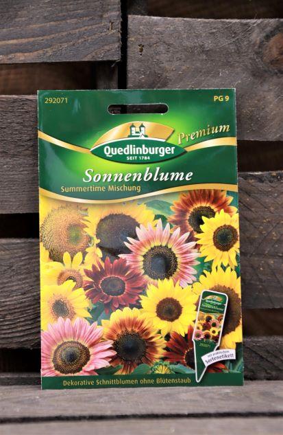 Sonnenblume-Summertime Premium
