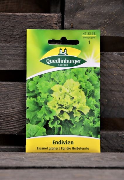 Endivien-Escaviol grün