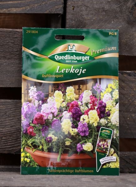 Levkoje-Duftbouquet Premium