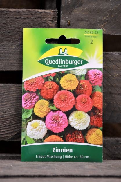 Zinnien-Liliput Mischung