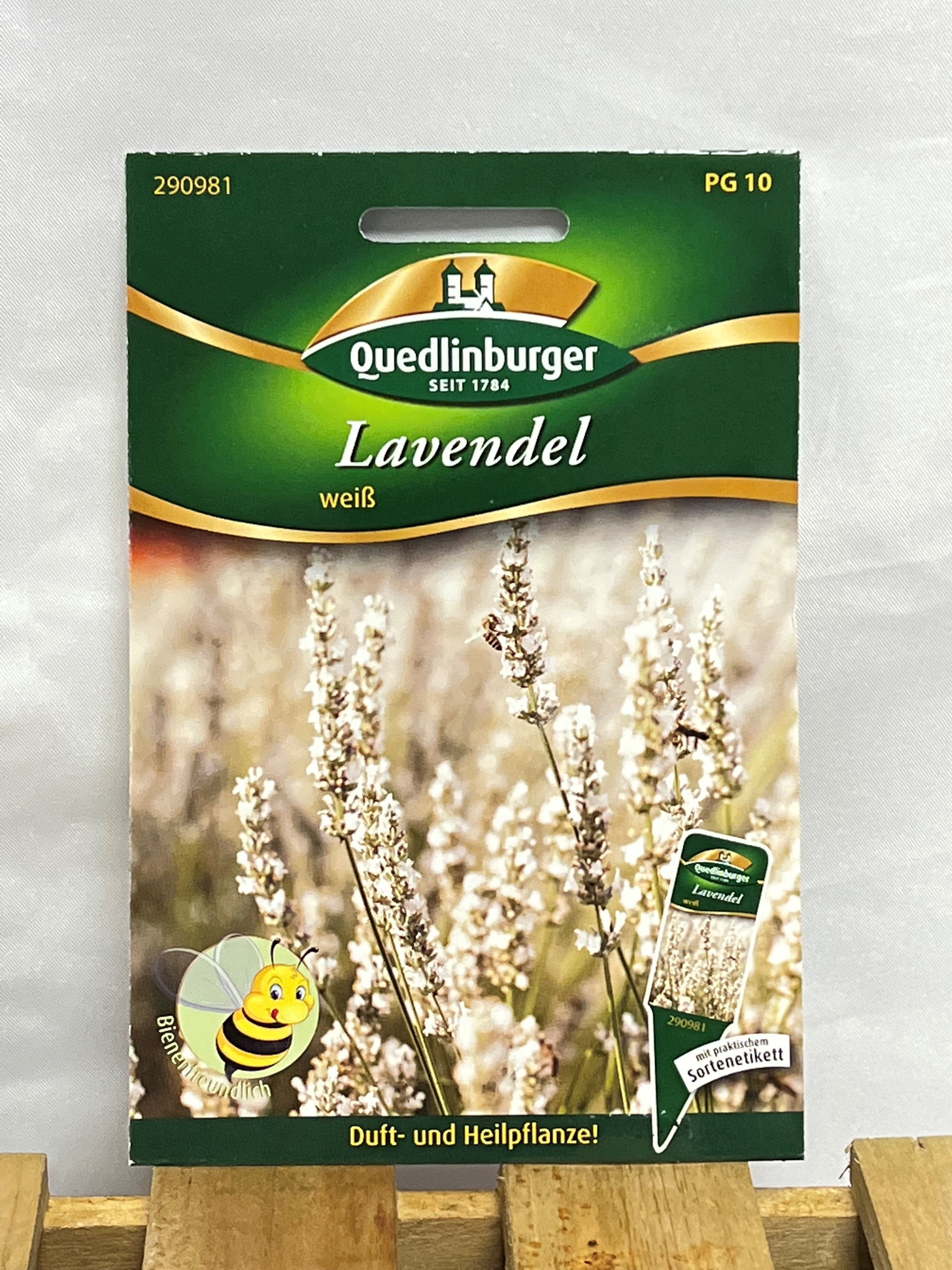 Lavendel weiß