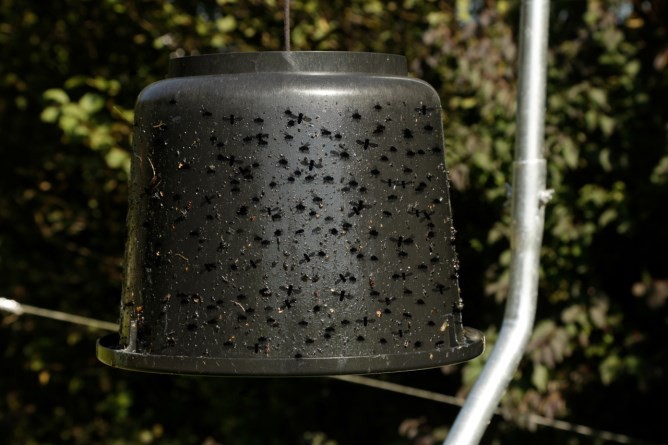 Eimer für Bremsenleim TaonX