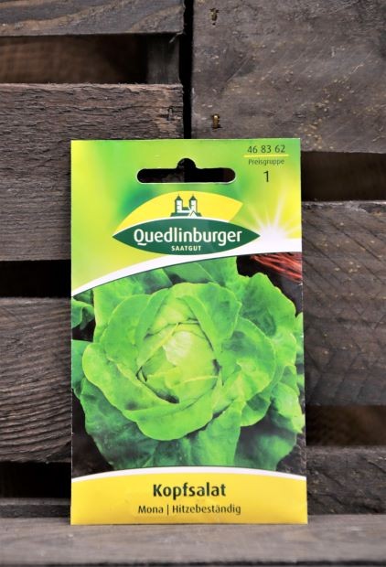 Kopfsalat-Mona