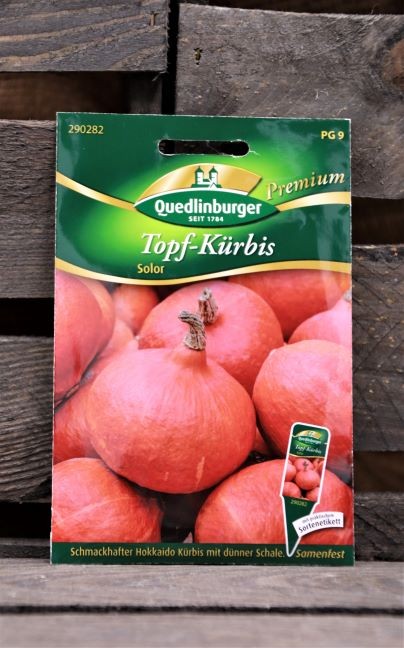 Topfkürbis-Solor
