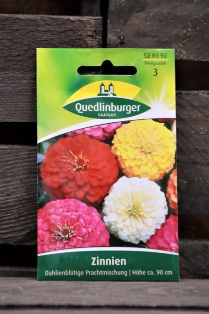 Zinnien-Dahlienblütige Mischung