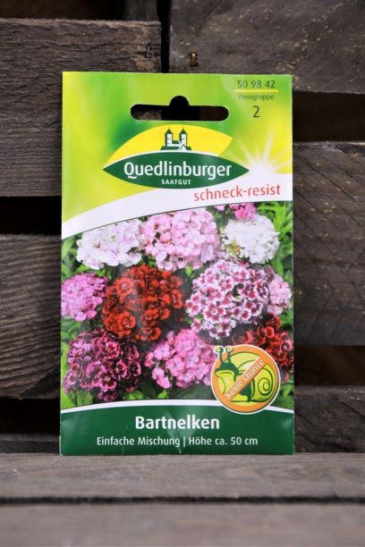 Bartnelken- einfache Mischung