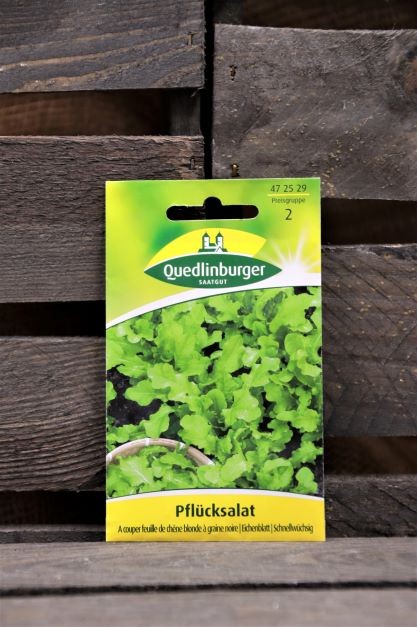 Pflücksalat-A Couper