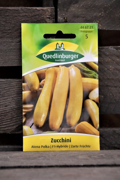 Zucchini-Atena Polka