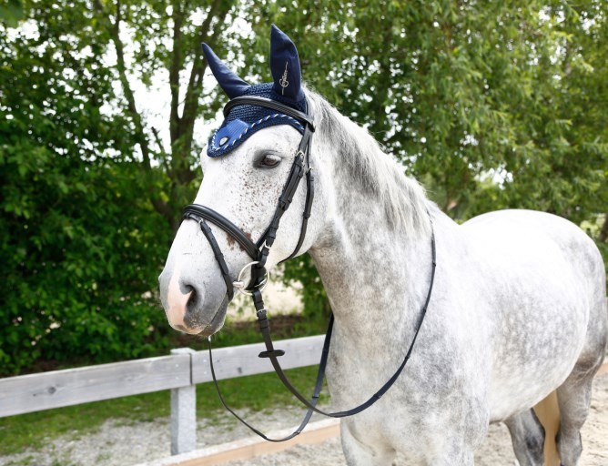 Fliegenhaube Tampa blau