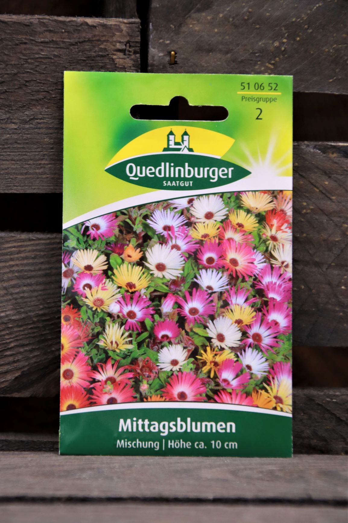 Mittagsblumen-Mischung