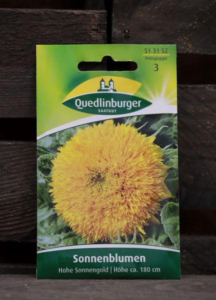 Sonnenblumen-hohe Sonnengold