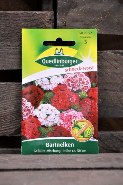 Bartnelken-gefüllte Mischung