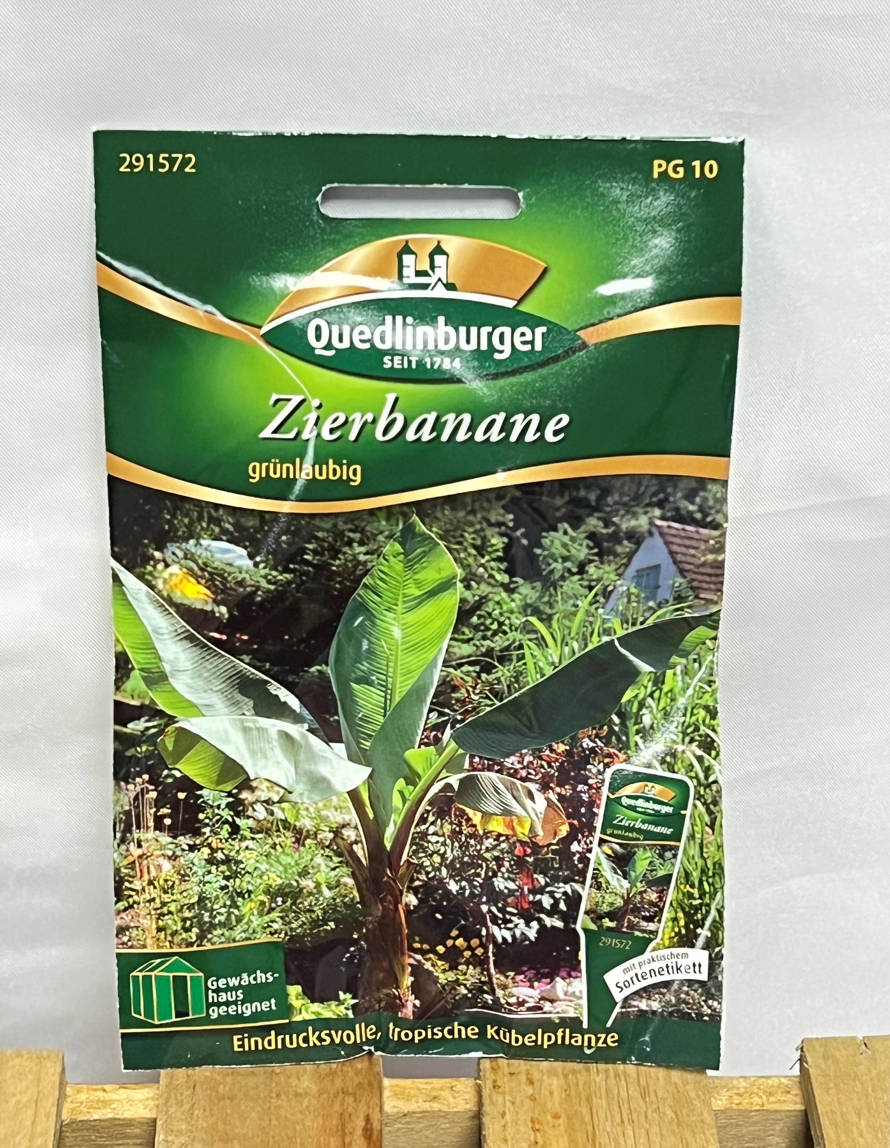 Zierbanane