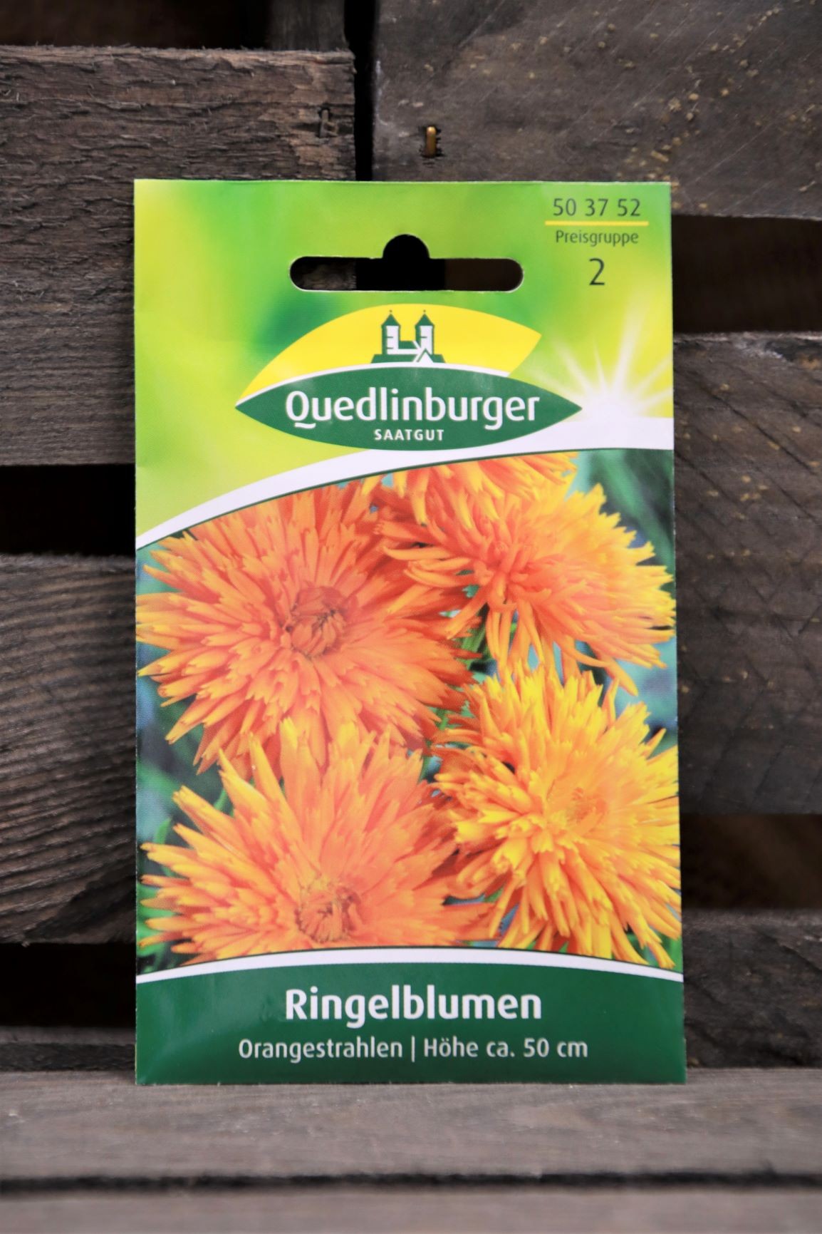 Ringelblumen-Orangenstrahlen