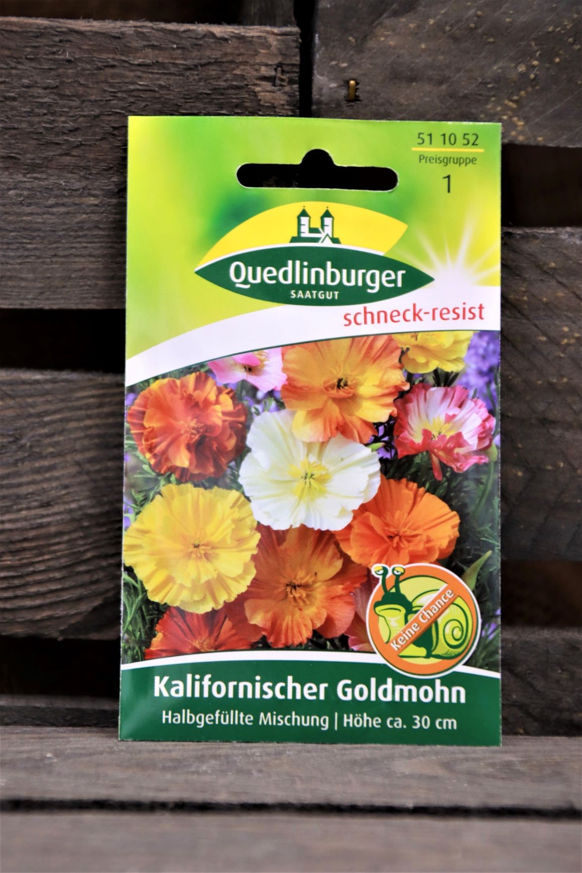 Kalifornischer Goldmohn