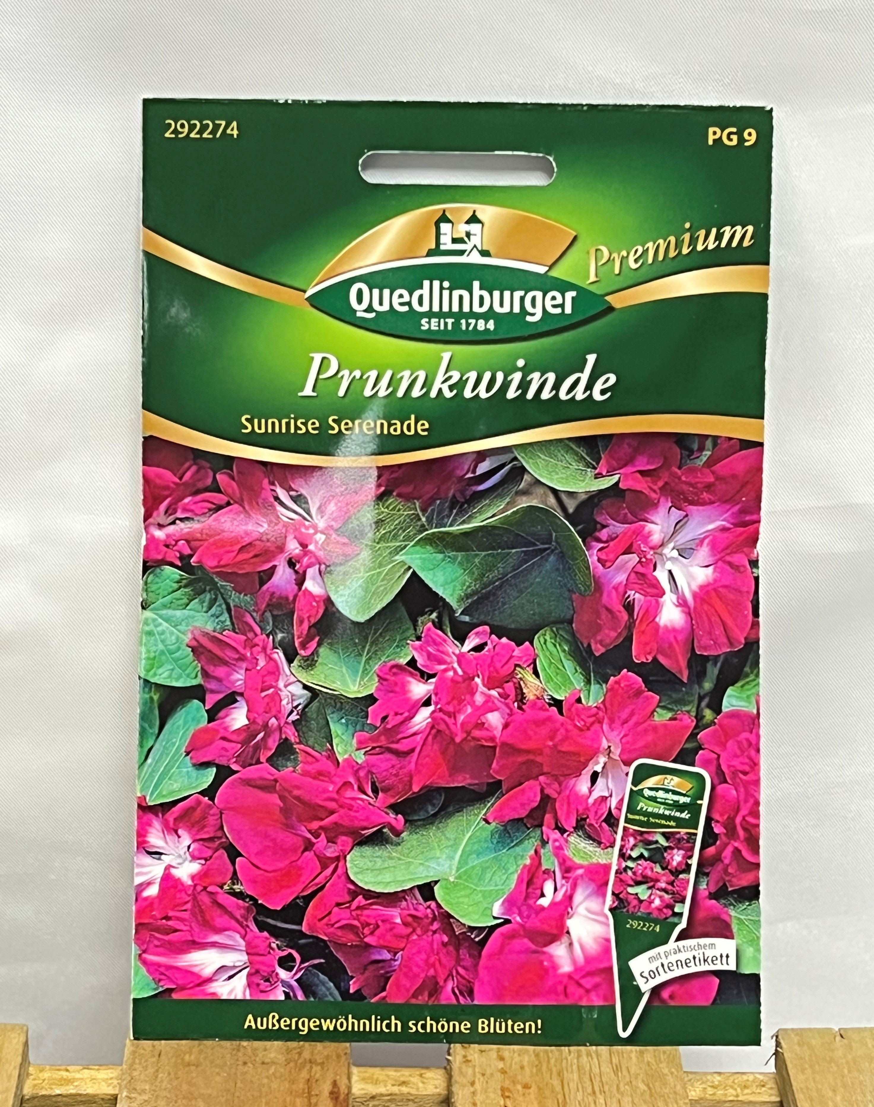 Prunkwinde Sunrise Serenade