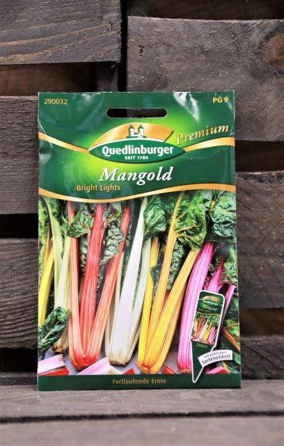 Mangold-Bright Lights Premium