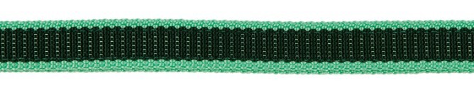 Fohlenhalfter Exclusive grün