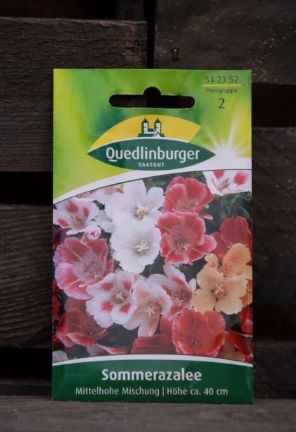 Sommerazaleen-Mittelhohe Mischung
