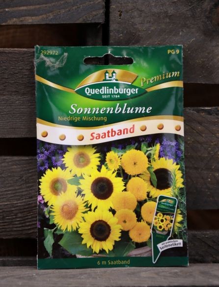 Sonnenblume-niedrige Mischung