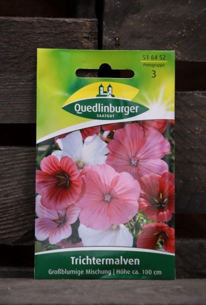 Trichtermalven-Großblumige Mischung