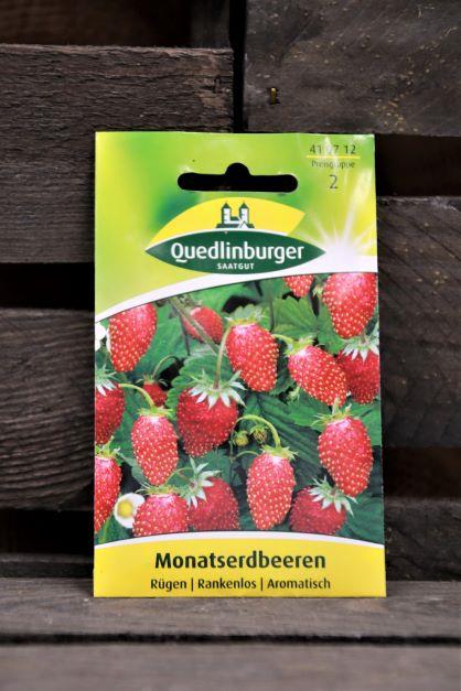 Monatserdbeeren-Rügen