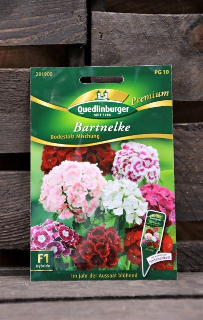 Bartnelke-Bodenstolz Premium