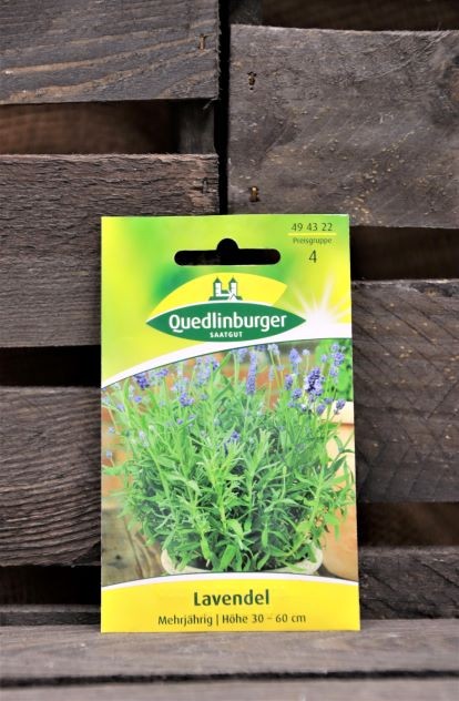 Lavendel-mehrjährig
