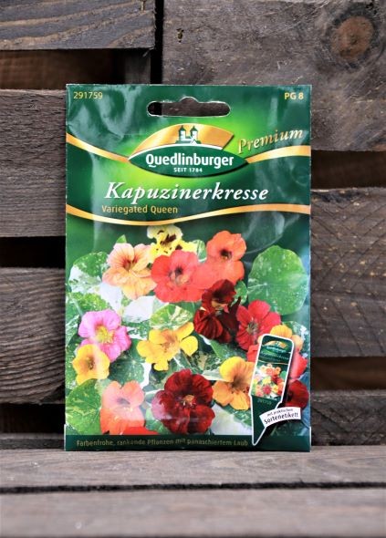 Kapuzinerkresse-Variegated Queen Prem