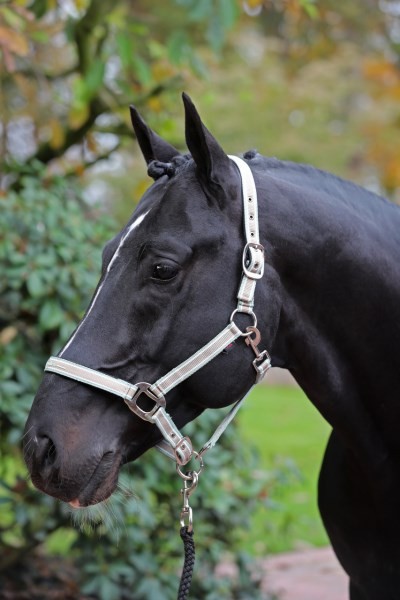 Halfter Cora Full Taupe/Mint/Weiß