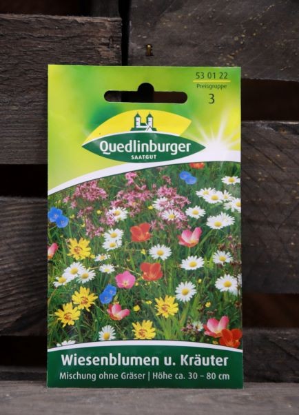 Wiesenblumen und Kräuter