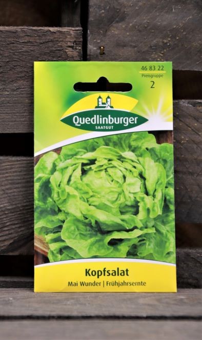 Kopfsalat-Mai Wunder