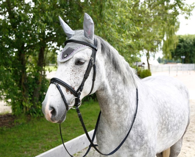 Fliegenhaube Pink/Grau