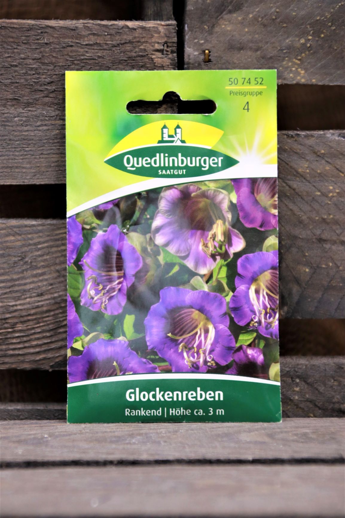 Glockenreben-Rankend
