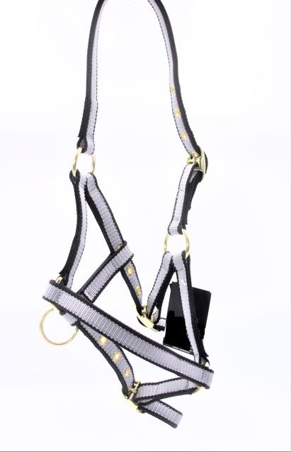 Fohlenhalfter Exklusive  grau