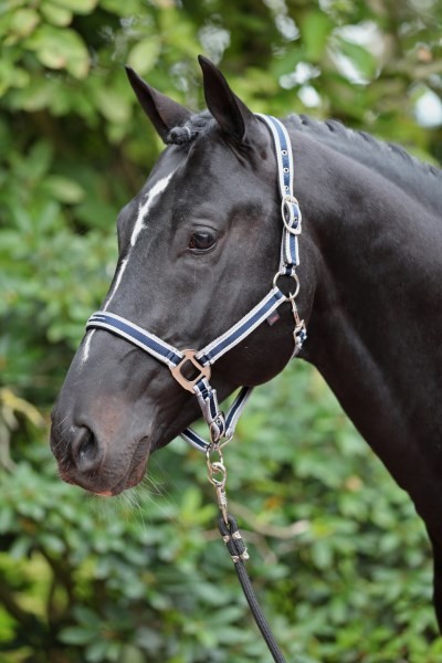 Halfter Cora Full Dunkelblau/Grau/Weiß