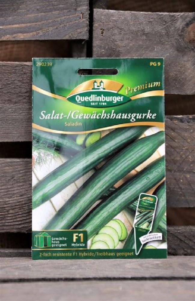Salat-Gewächshausgurke-Saladin Premium