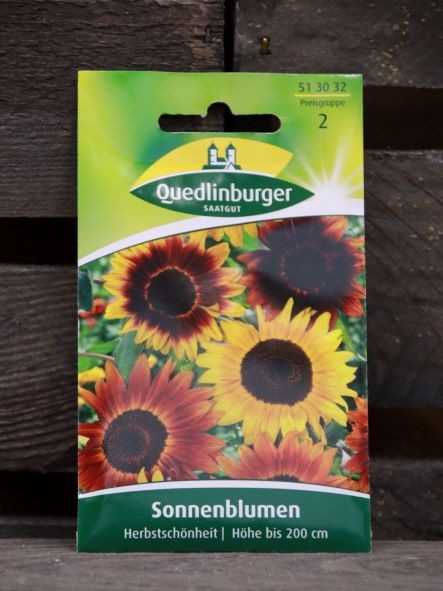 Sonnenblumen-Herbstschönheit