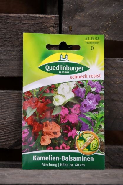 Kamelien-Balsaminen Mischung